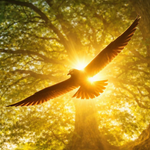 Spirituel livsvejledning/Coaching